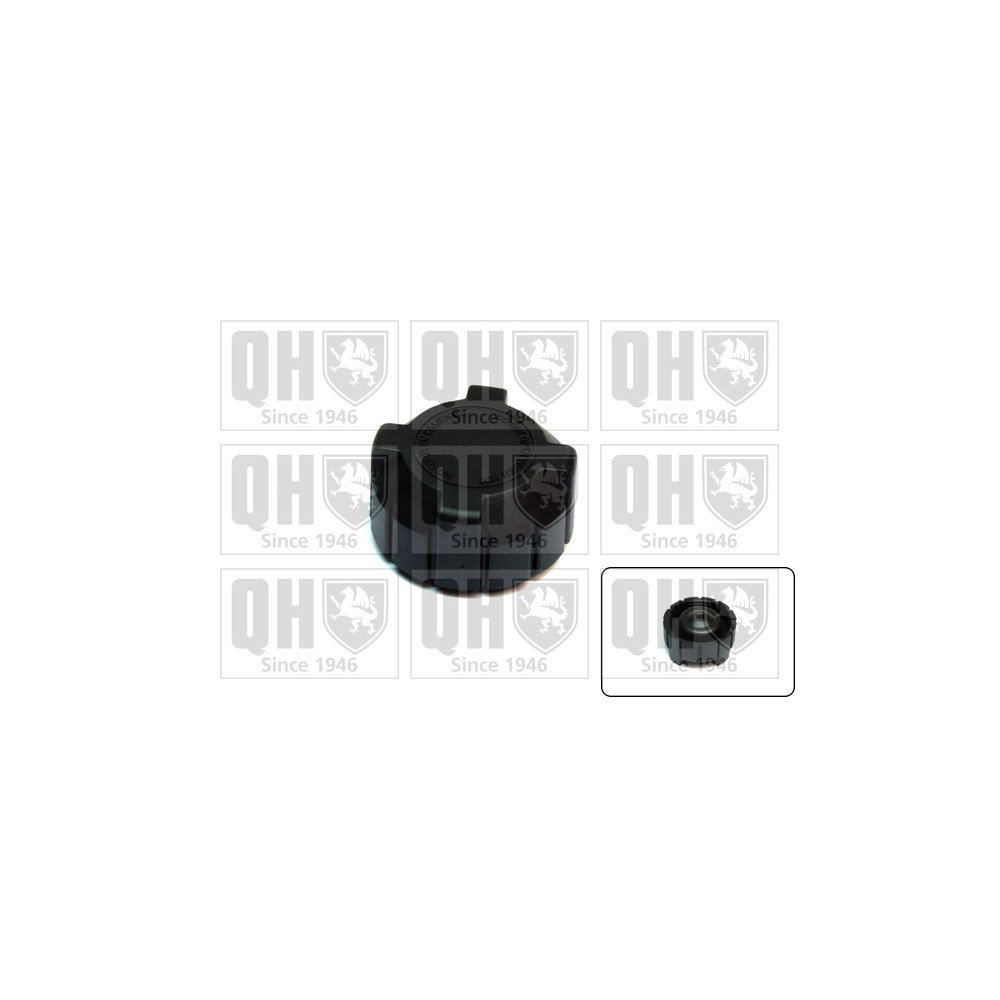 Image for QH FC517 Expansion Tank Cap