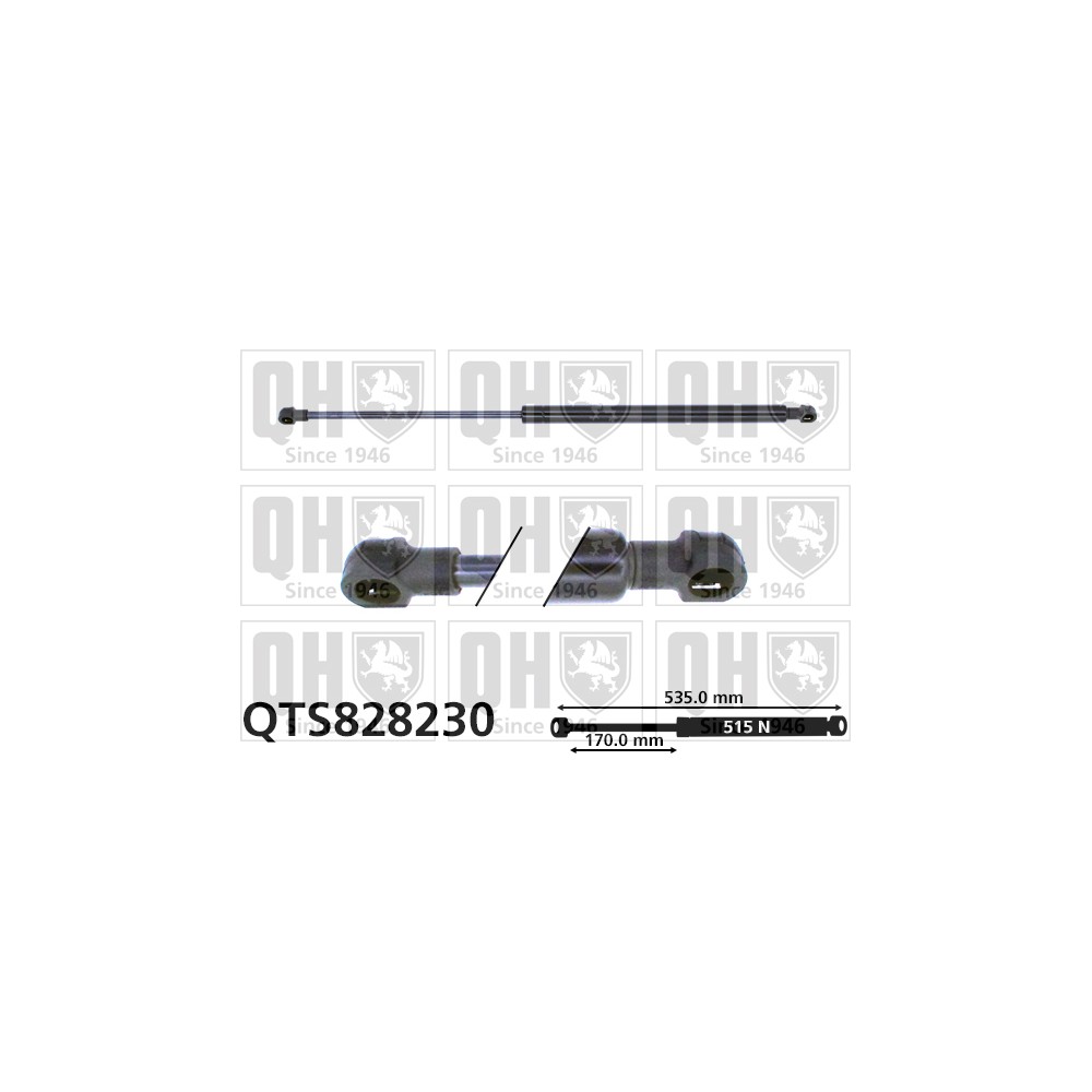 Image for QH QTS828230 Gas Spring