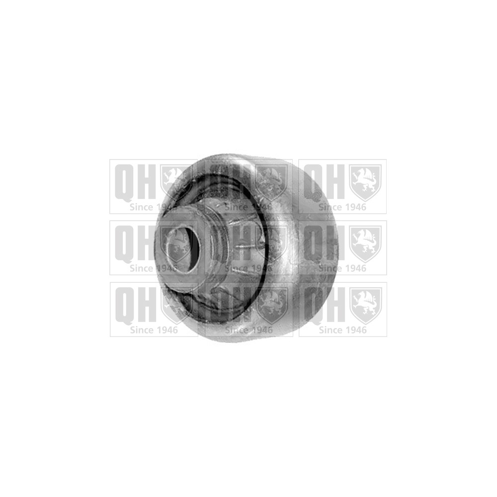 Image for QH EMS8300 Suspension Arm Bush - Front Lower LH & RH (Rear)