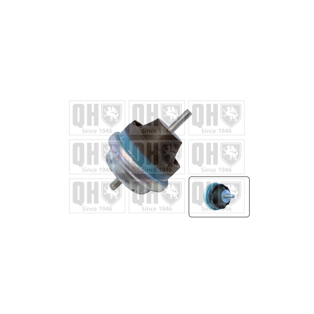 Image for QH EM4388 Engine Mounting