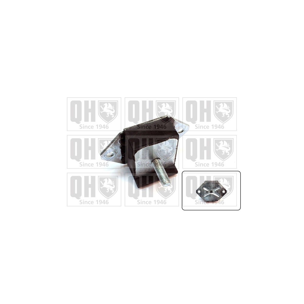 Image for QH EM1658 Engine Mounting