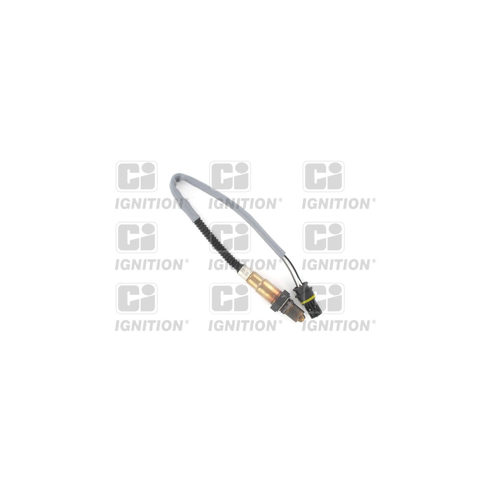 Image for Oxygen Sensor