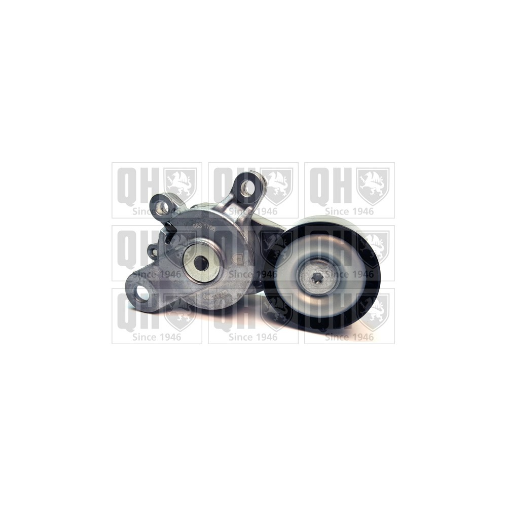 Image for Drive Belt Tensioner