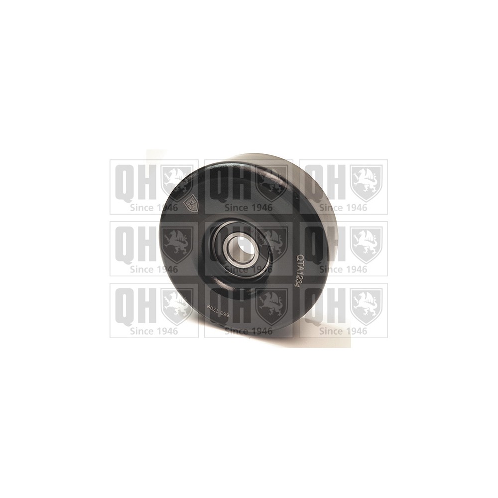 Image for QH QTA1234 DRIVE BELT TENSIONER