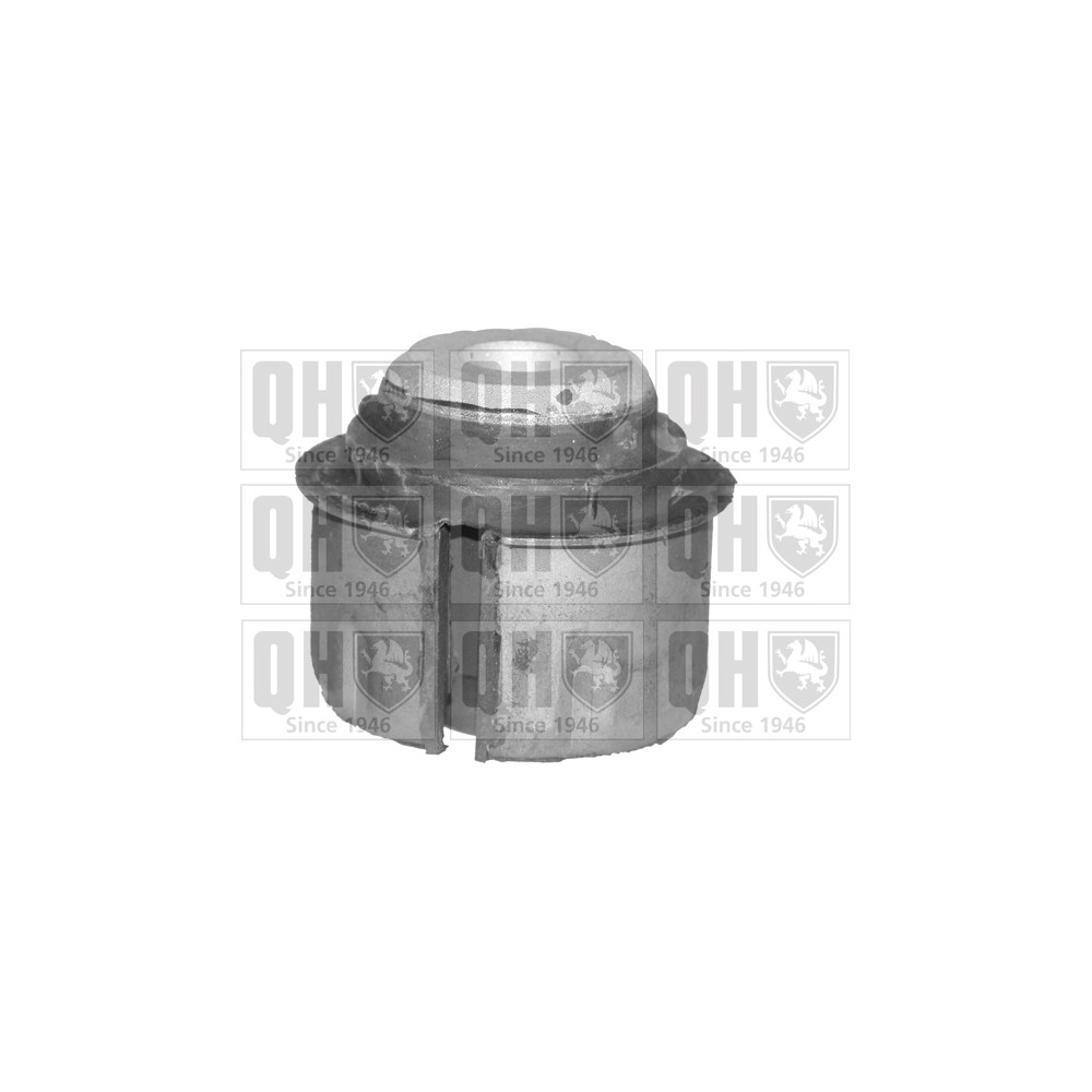 Image for QH EMS8114 Suspension Arm Bush - Front Lower LH & RH (Rear)