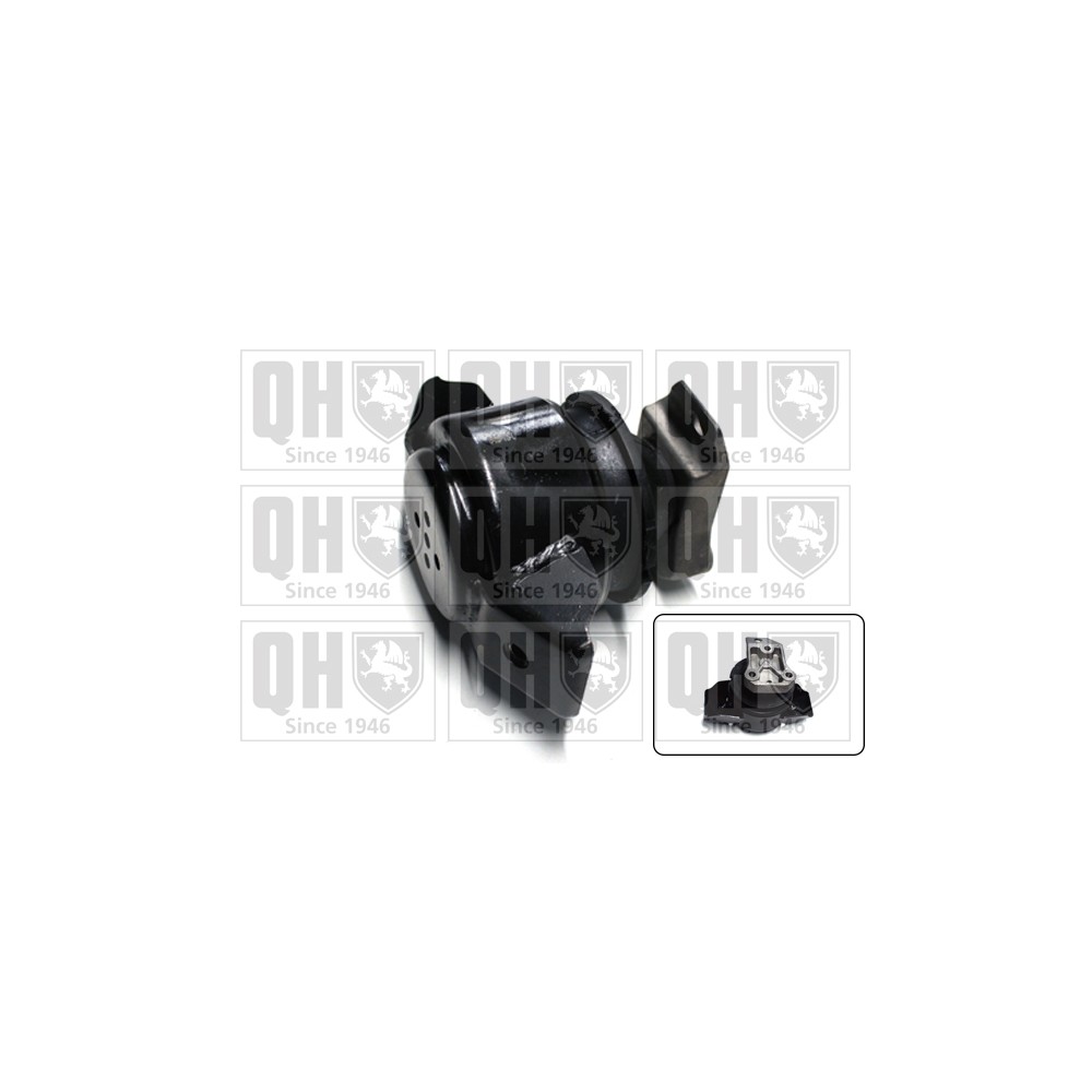 Image for QH EM2449 Engine Mounting